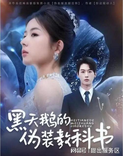 黑天鹅的伪装教科书