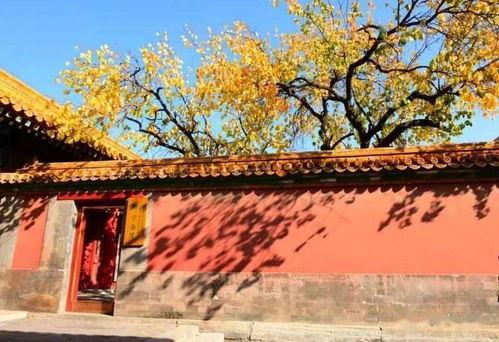 厌朱墙,探寻古建筑之美