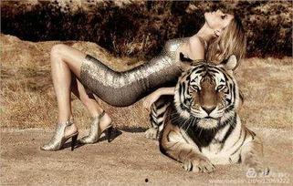 老虎的女人,揭秘神秘女子的传奇人生