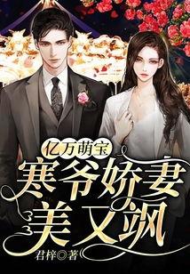 总裁娇妻美又飒