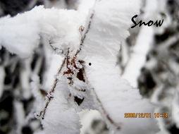 那一年寒冬,岁月静好，时光如梭