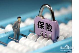 最高风险,揭秘潜在危机与应对策略