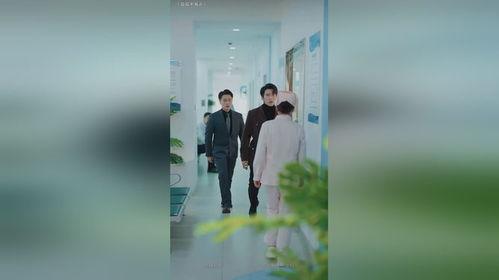 迟迟不见春,探寻冬日里的温暖时光