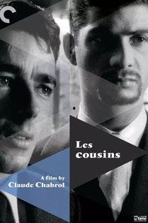 我的表兄弟,探寻表兄弟间的深厚情谊